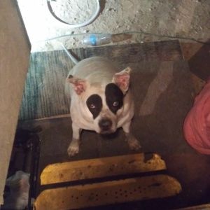 Meet your Posher, Harvey